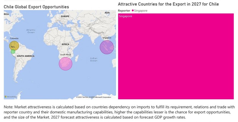 Chile Dietary Supplements Market - Export Market Opportunities