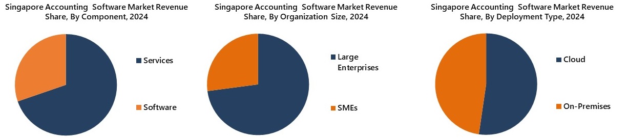Singapore Accounting Software Market Segmentation