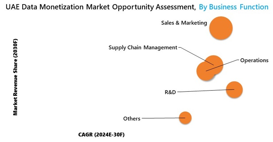 UAE Data Monetization Market Segmentation