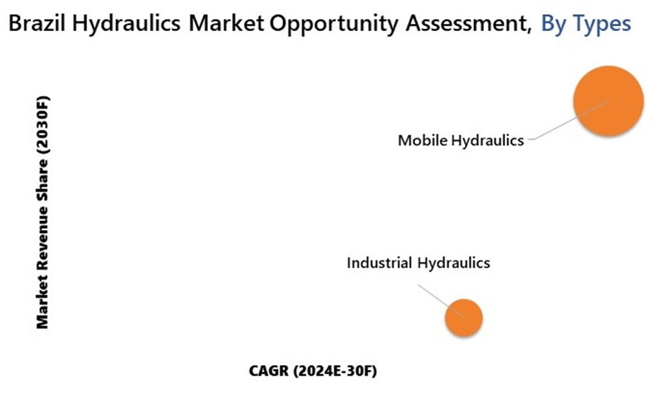 Brazil Hydraulics Market Segmentation