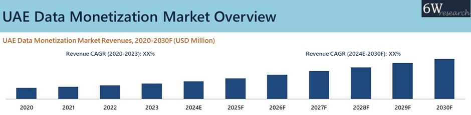 UAE Data Monetization Market overview