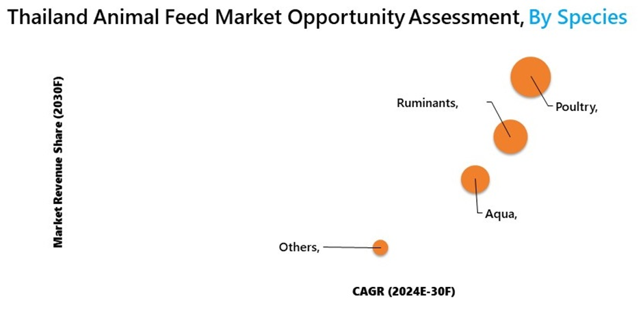 Thailand Animal Feed Market Segmentation