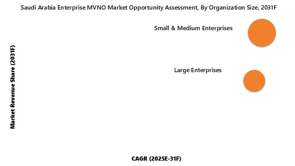 Saudi Arabia MVNO Market Opportunity Assessment