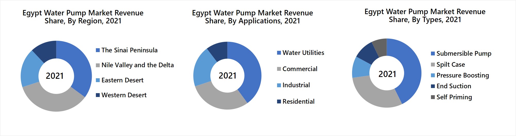 Egypt Water Pump Market Revenue Share
